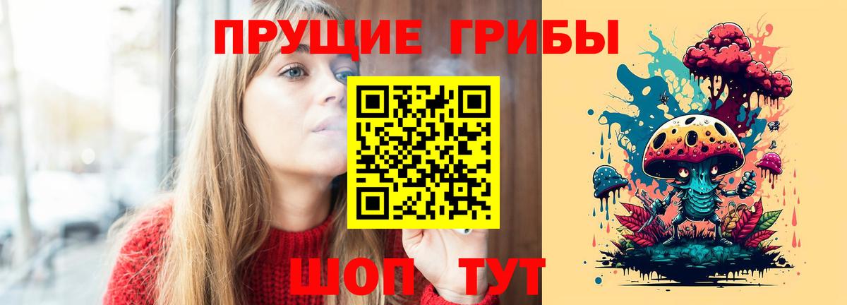даркнет сайт  Псилоцибиновые грибы Cubensis  Вход с VPN  Тосно 